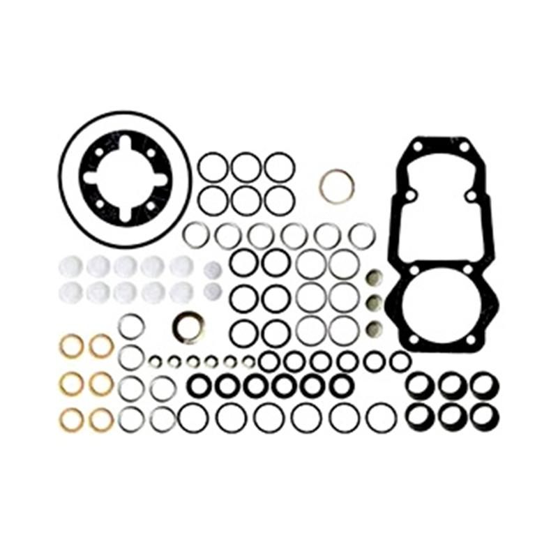 Injection Pump Repair Kit 1417010008 for Trucks