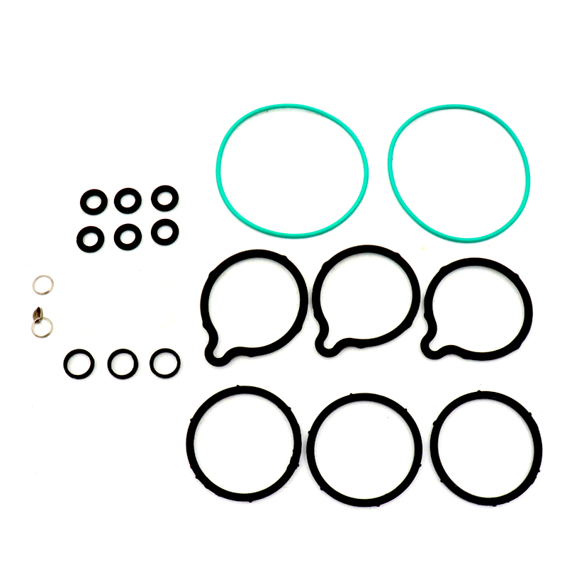 High Pressure Fuel Pump Repair Kit 0445010002 for Citroen / Fiat / Opel / Peugeot