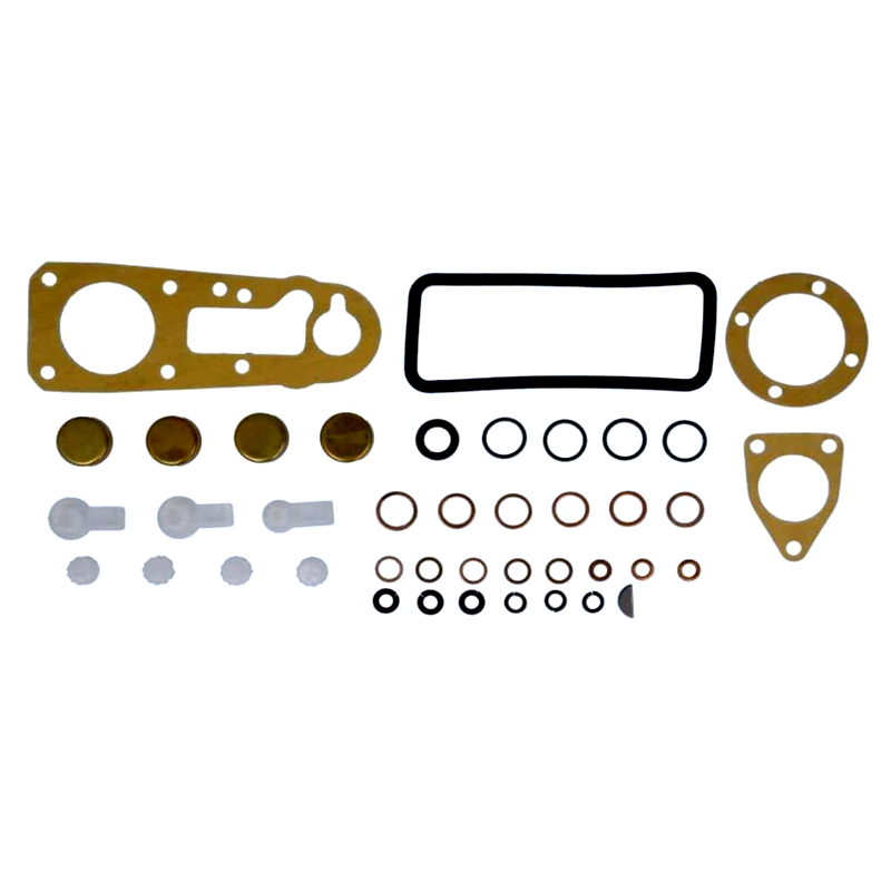 Injuection Pump Repair Kit 1417010002 for ABG/Adly/AIXAM/ALPINE/TOYOTA/CATERPILLAR