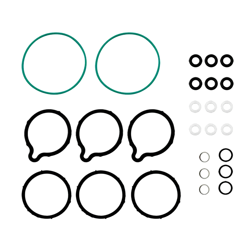 High Pressure Fuel Pump Repair Kit 0445010002 for Citroen / Fiat / Opel / Peugeot