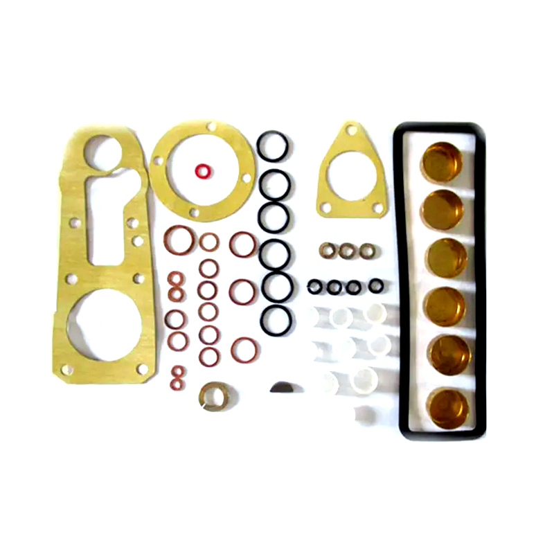 Injuection Pump Repair Kit 1417010002 for ABG/Adly/AIXAM/ALPINE/TOYOTA/CATERPILLAR