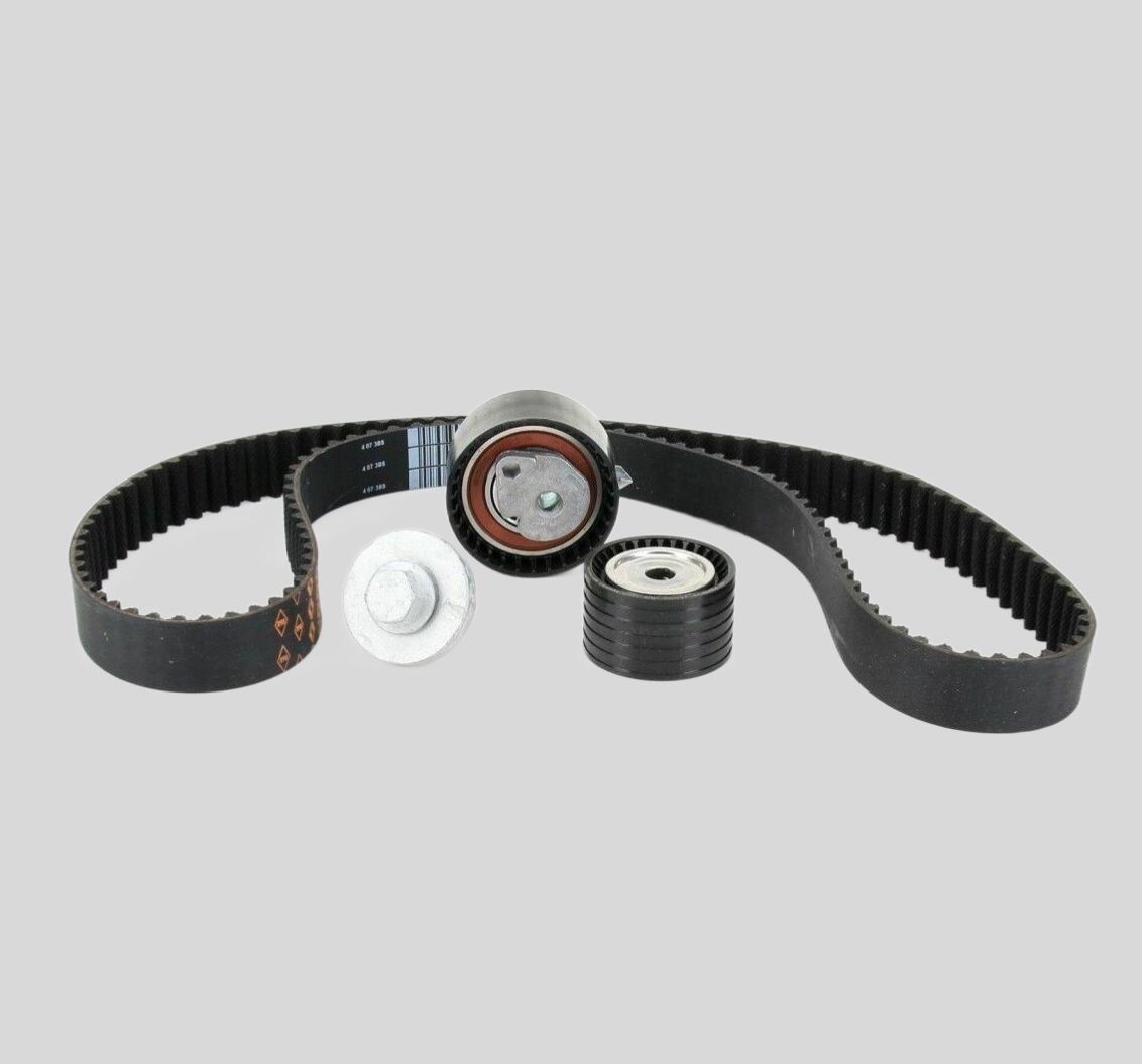 Timing Belt Kit for Nissan /Lada 130c17529r