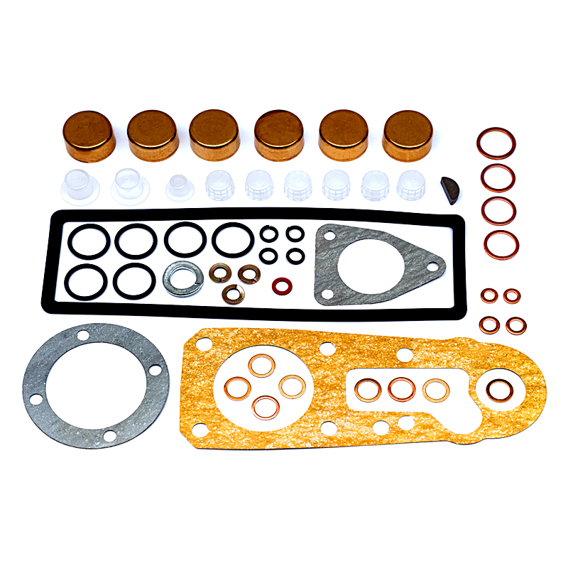 Injuection Pump Repair Kit 1417010002 for ABG/Adly/AIXAM/ALPINE/TOYOTA/CATERPILLAR